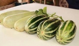 网红吃瓜资料免费,揭秘娱乐圈幕后真相